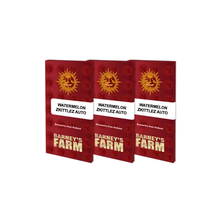 Watermelon-Zkittlez-Auto-Barney's-Farm-Les-jardins-de-Bouddha