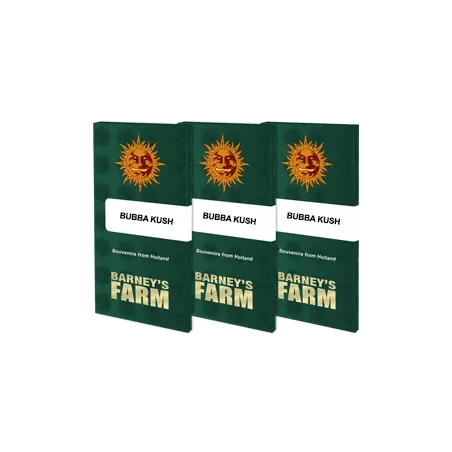 Bubba-Kush-Barney's-Farm-Les-jardins-de-Bouddha