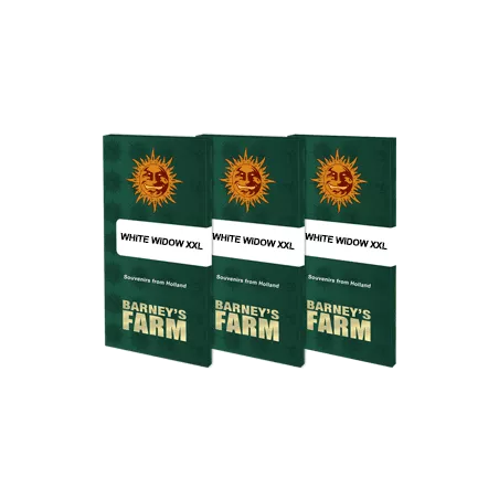 White Widow XXL - Barney's Farm