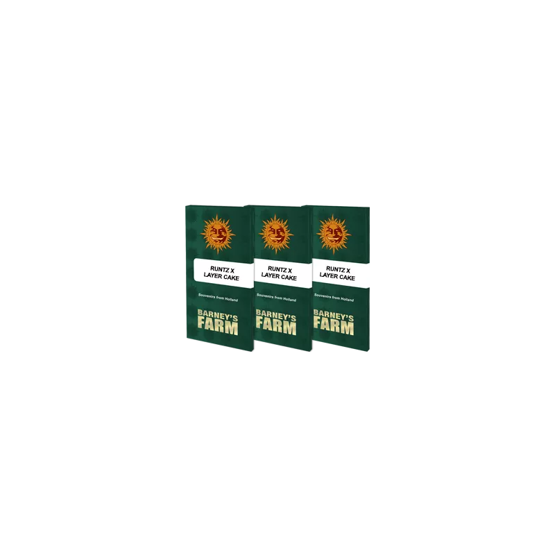 Runtz x Layer Cake - Barney's Farm