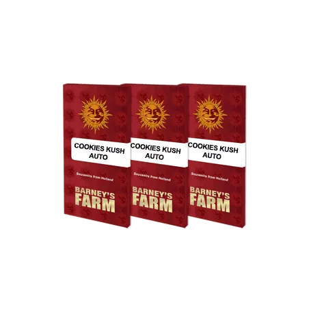 Cookies Kush Auto - Barney's Farm