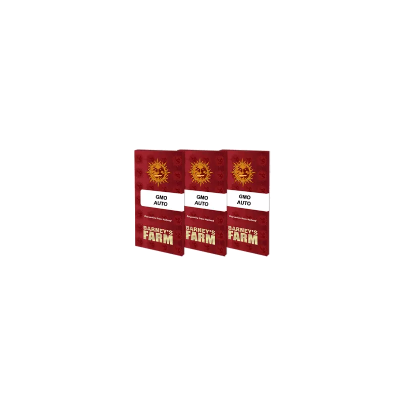 GMO Auto - Barney's Farm