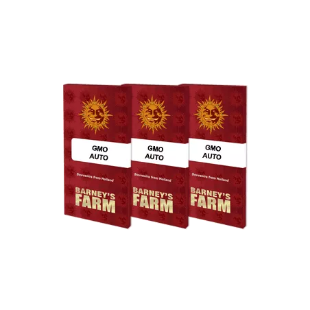 GMO Auto - Barney's Farm