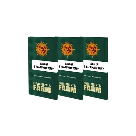 Sour Strawberry - Barney's Farm