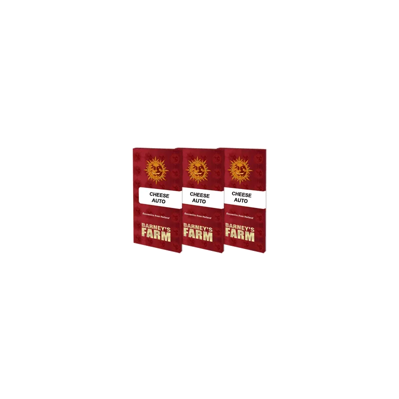 Cheese Auto - Barney's Farm