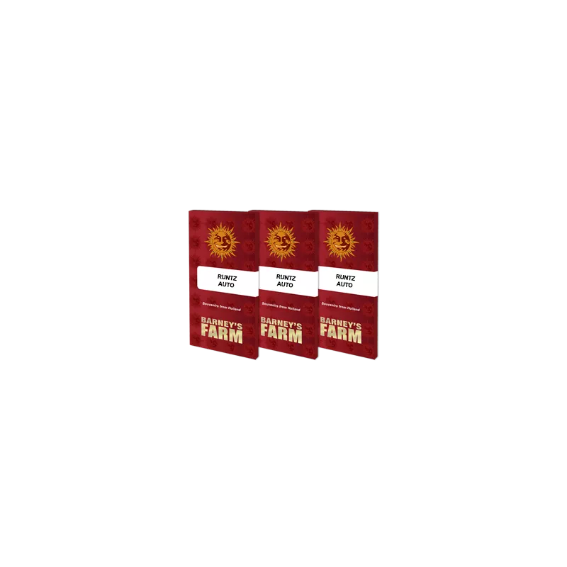 Runtz-Auto-Barney's-Farm-Les-jardins-de-Bouddha