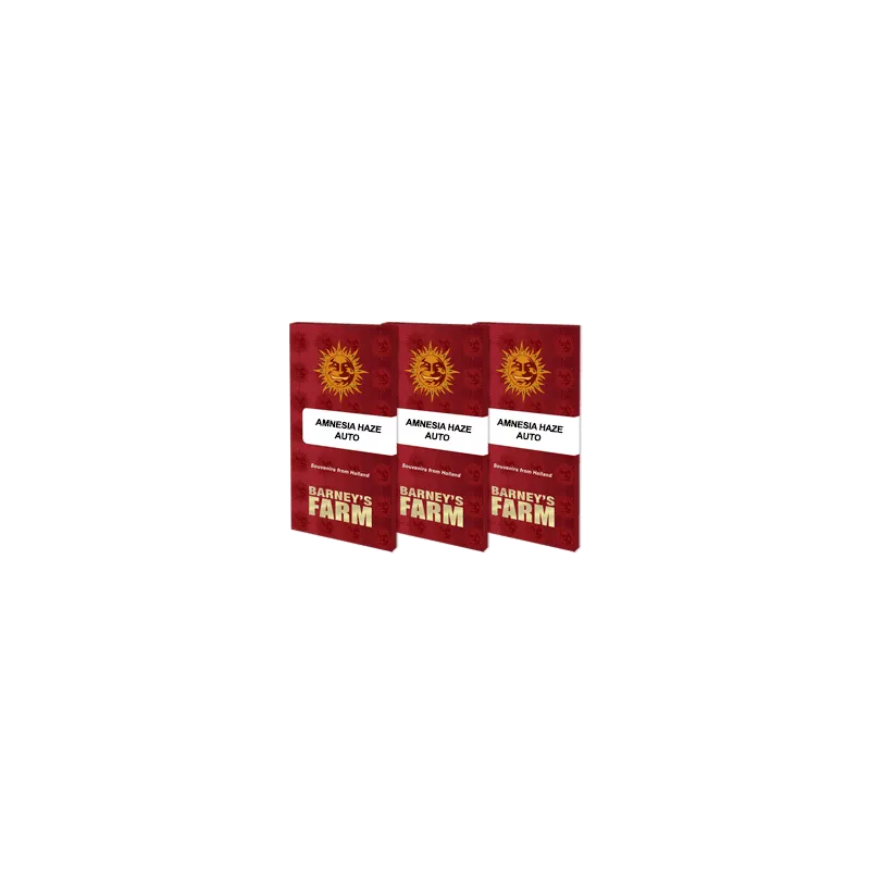 Amnesia-Haze-Auto-Barney's-Farm-Les-jardins-de-Bouddha