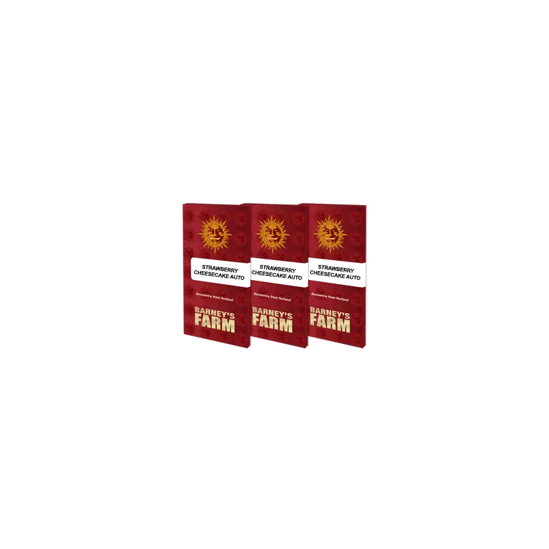 Strawberry-Cheesecake-Auto-Barney's-Farm-Les-jardins-de-Bouddha