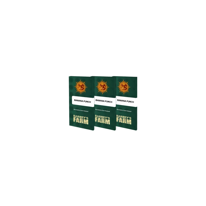 Banana-Punch-Barney's-Farm-Les-jardins-de-Bouddha