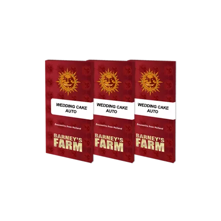 Wedding Cake Auto - Barney's Farm