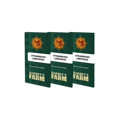 Strawberry Lemonade - Barney's Farm