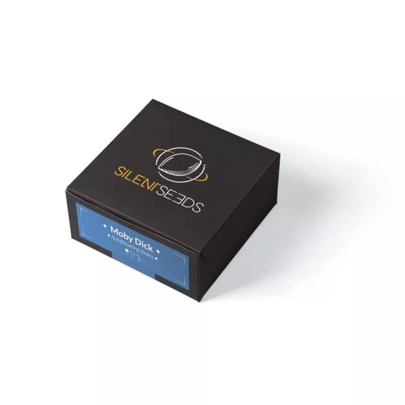 Moby Dick Auto - Silent Seeds