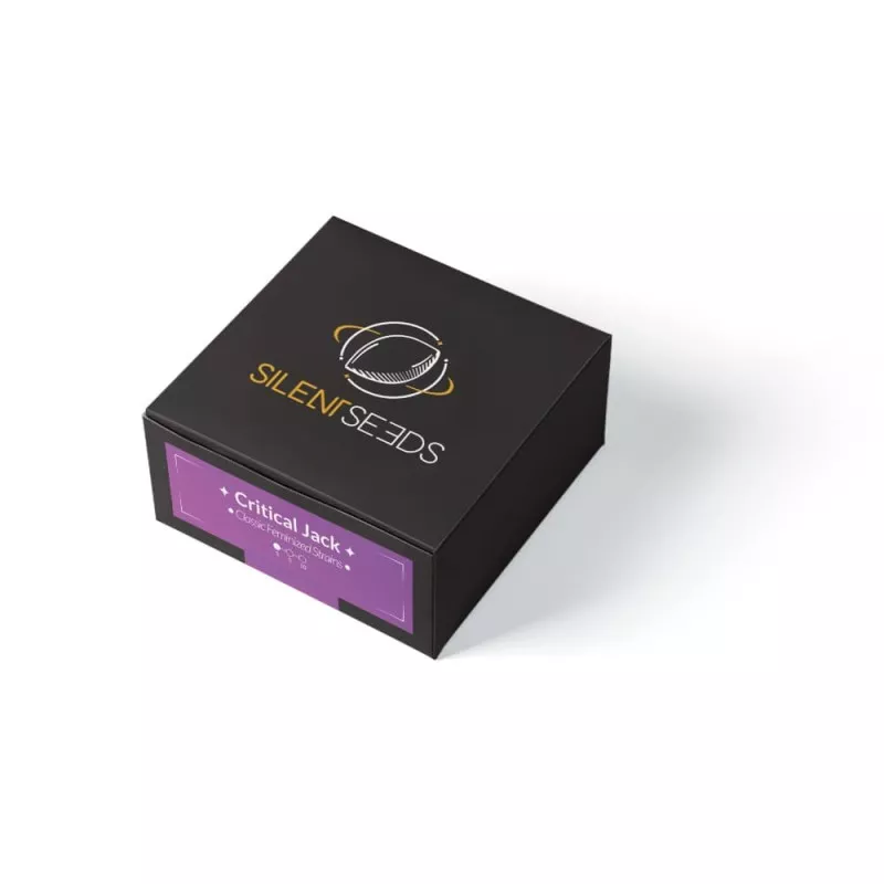 Critical Jack - Silent Seeds