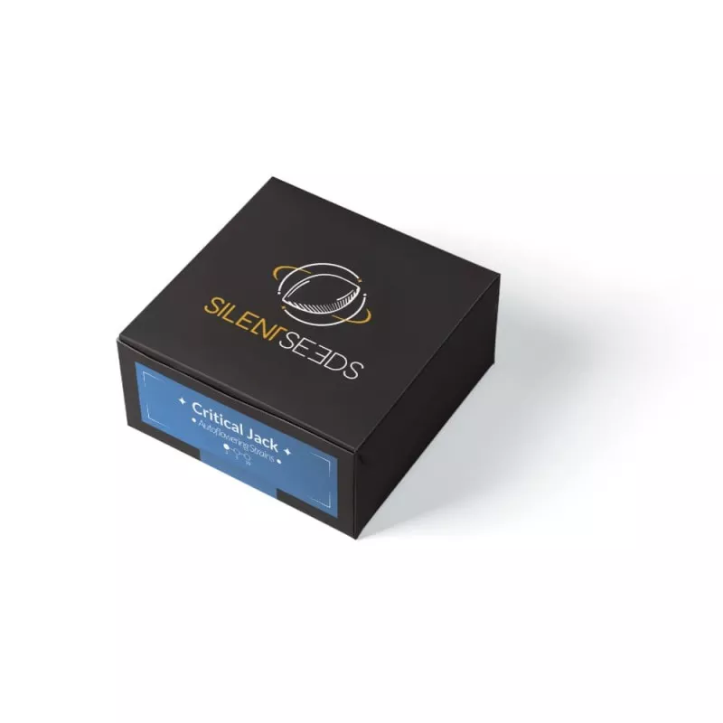 Critical Jack Auto - Silent Seeds