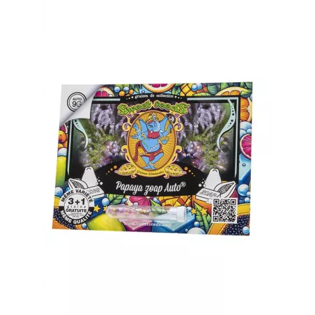 Papaya Zoap Auto - Sweet Seeds