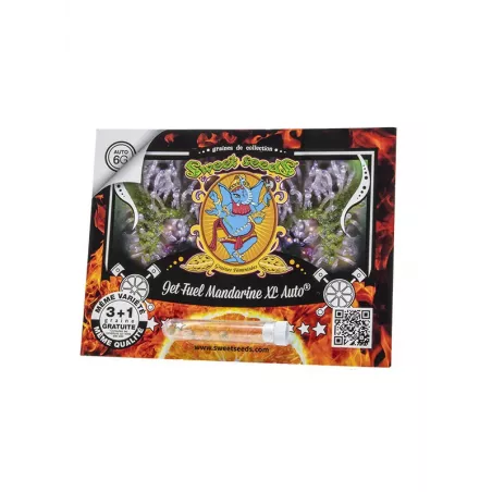 Jet Fuel Mandarine  XL Auto - Sweet Seeds