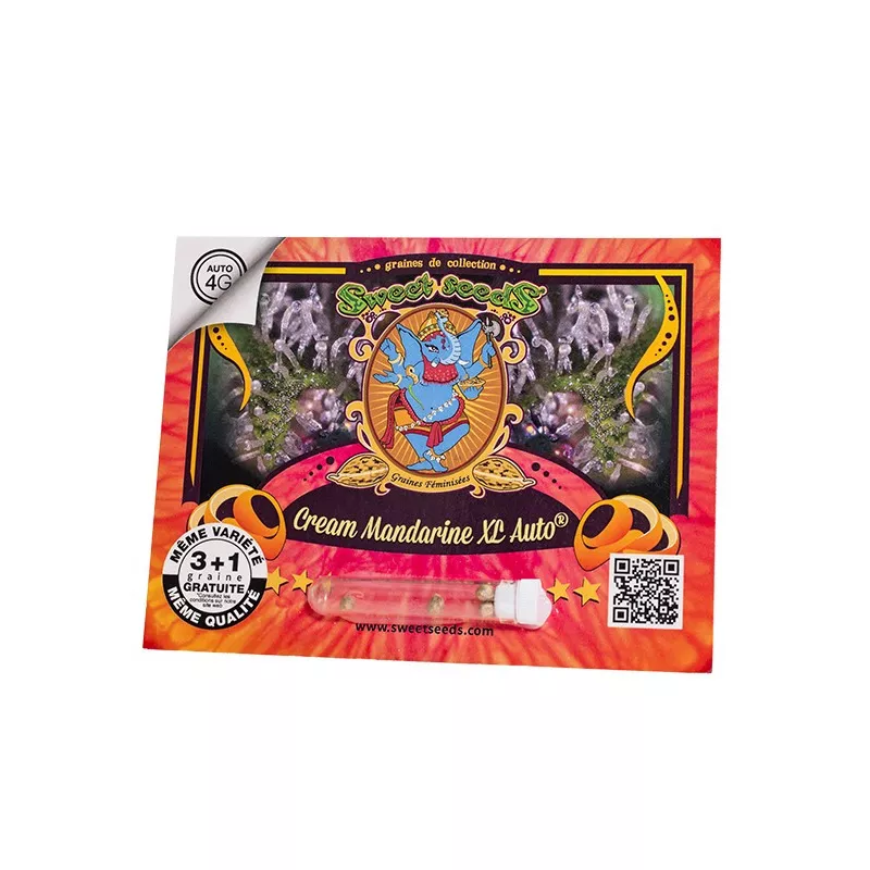 Cream Mandarine XL Auto - Sweet Seeds