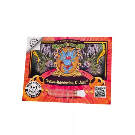 Cream Mandarine XL Auto - Sweet Seeds