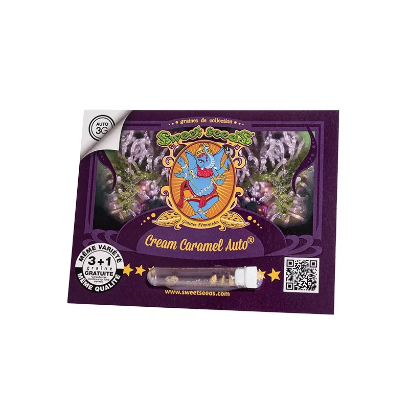 Cream Caramel Auto - Sweet Seeds