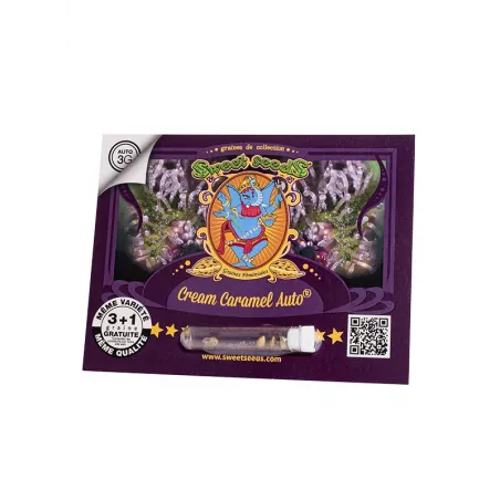 Cream Caramel Auto - Sweet Seeds