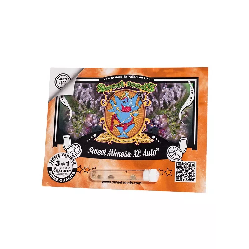 Sweet Mimosa XL Auto - Sweet Seeds