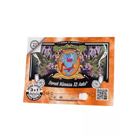 Sweet Mimosa XL Auto - Sweet Seeds
