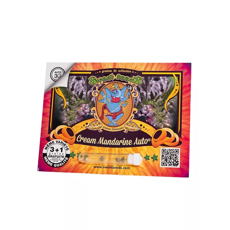 Cream Mandarine Auto - Sweet Seeds