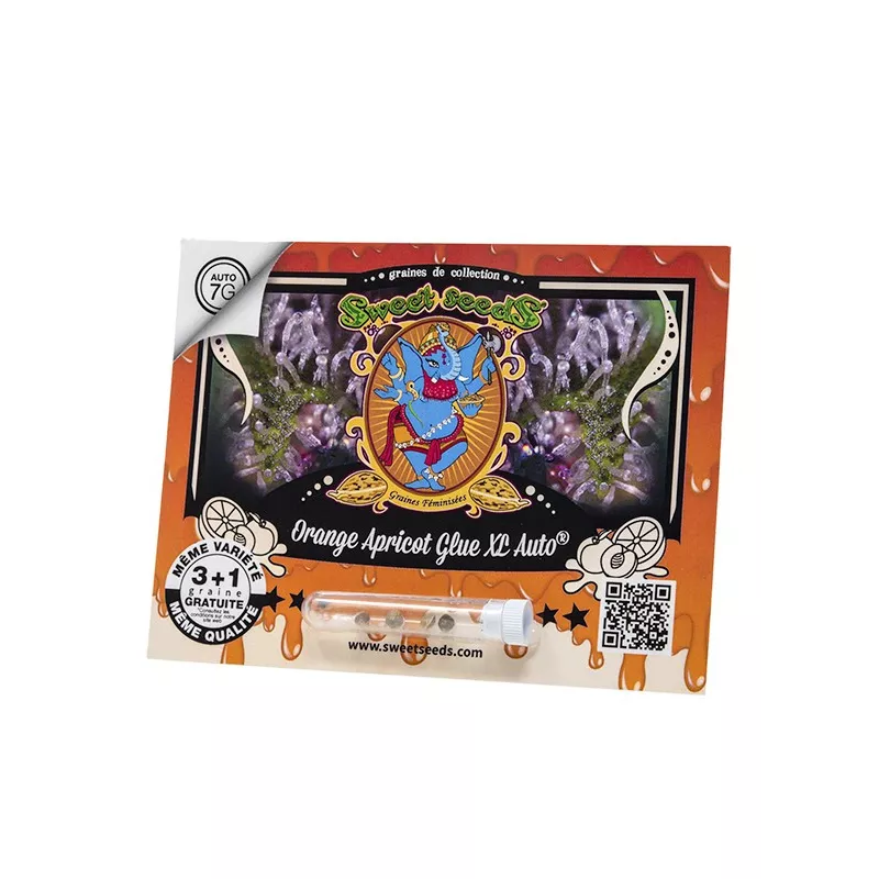 Orange Apricot Glue XL Auto - Sweet Seeds