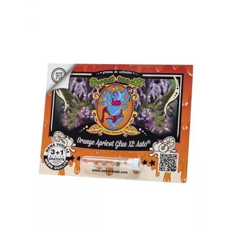 Orange Apricot Glue XL Auto - Sweet Seeds