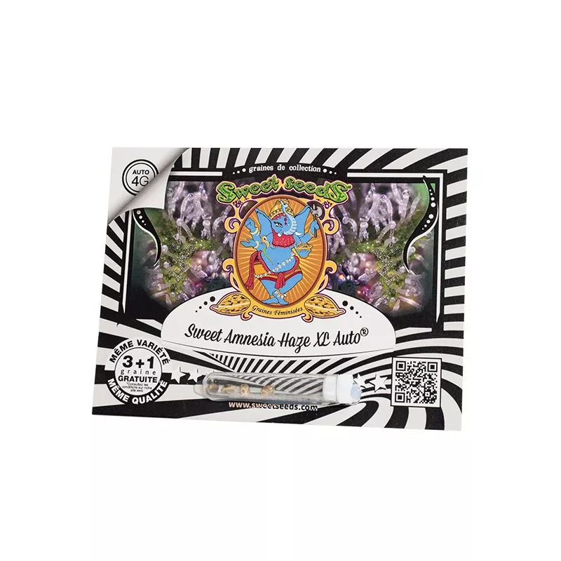 Sweet Amnesia Haze Auto - Sweet Seeds