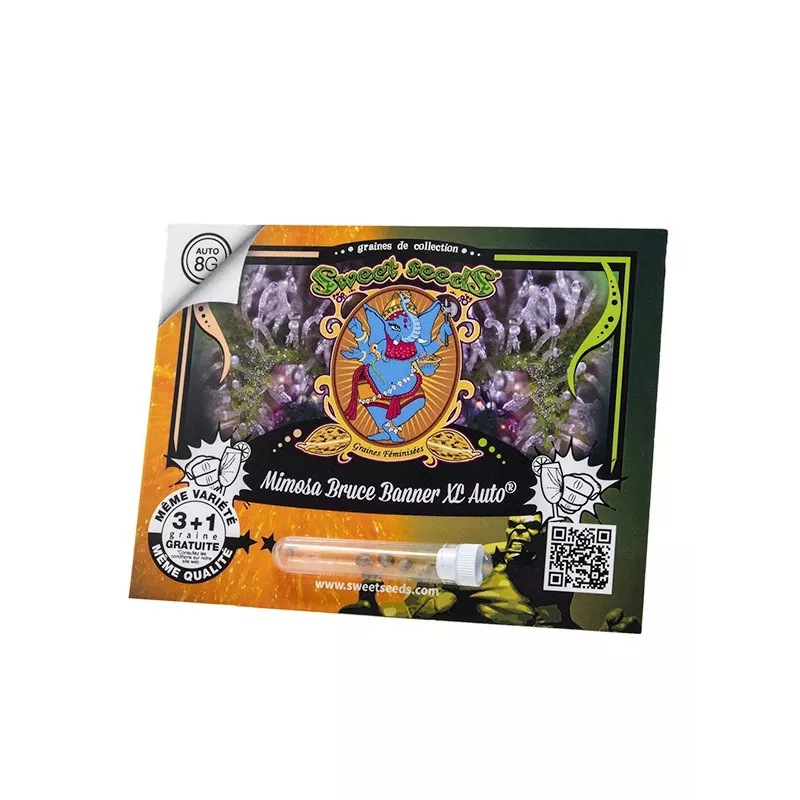 Mimosa Bruce Banner XL Auto - Sweet Seeds