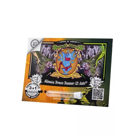 Mimosa Bruce Banner XL Auto - Sweet Seeds