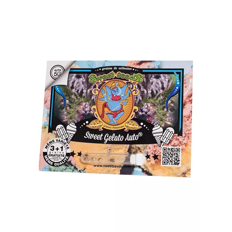 Sweet Gelato Auto - Sweet Seeds