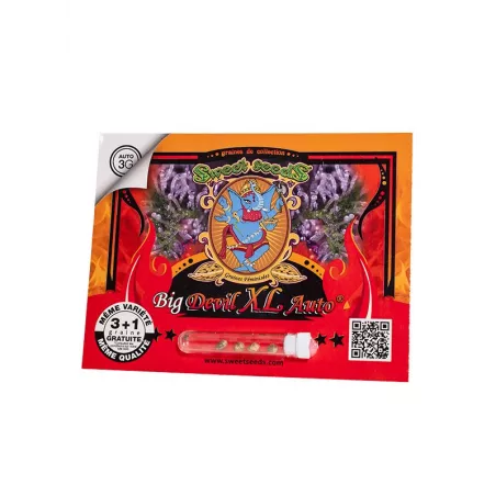 Big Devil XL Auto - Sweet Seeds