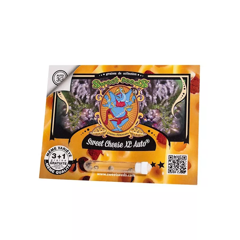 Sweet Cheese XL Auto - Sweet Seeds