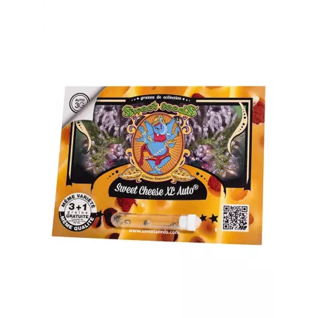 Sweet Cheese XL Auto - Sweet Seeds