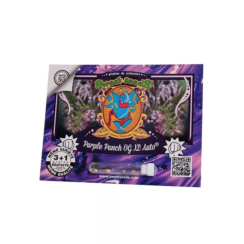 Purple Punch OG - Sweet Seeds