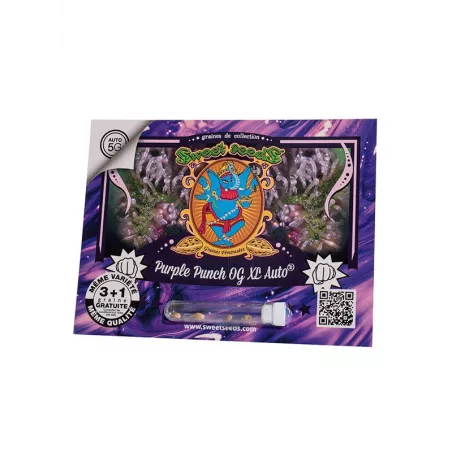 Purple Punch OG - Sweet Seeds