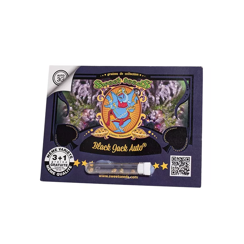 Black Jack Auto - Sweet Seeds