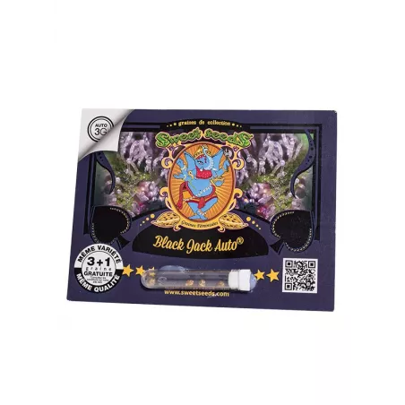 Black Jack Auto - Sweet Seeds