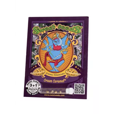 Cream Caramel - Sweet Seeds