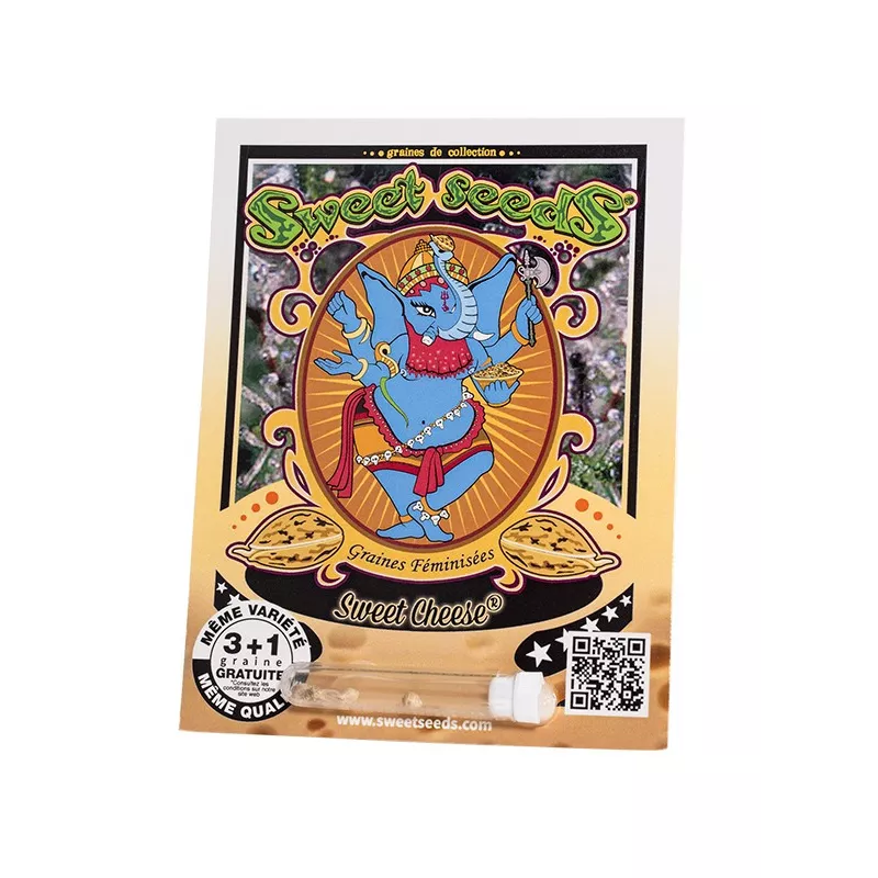 Sweet Cheese - Sweet Seeds