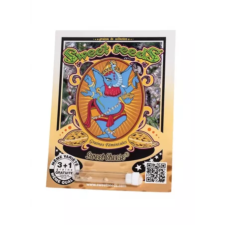 Sweet Cheese - Sweet Seeds