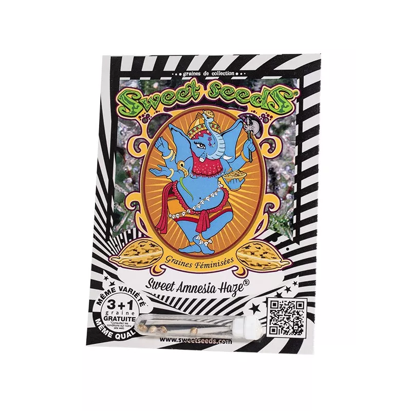 Sweet Amnesia Haze - Sweet Seeds