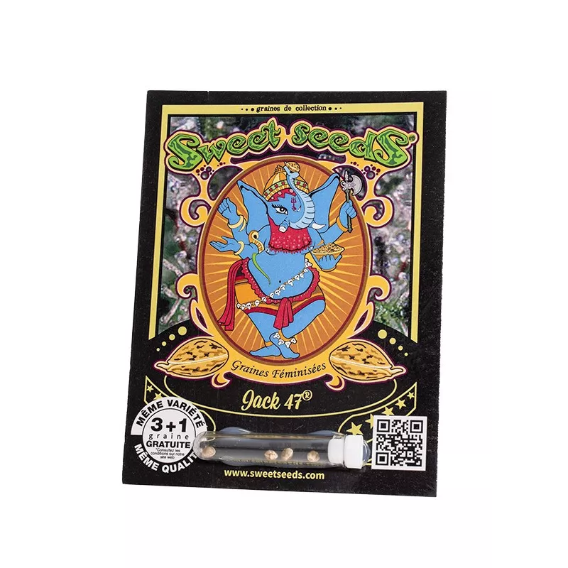 Jack 47 - Sweet Seeds