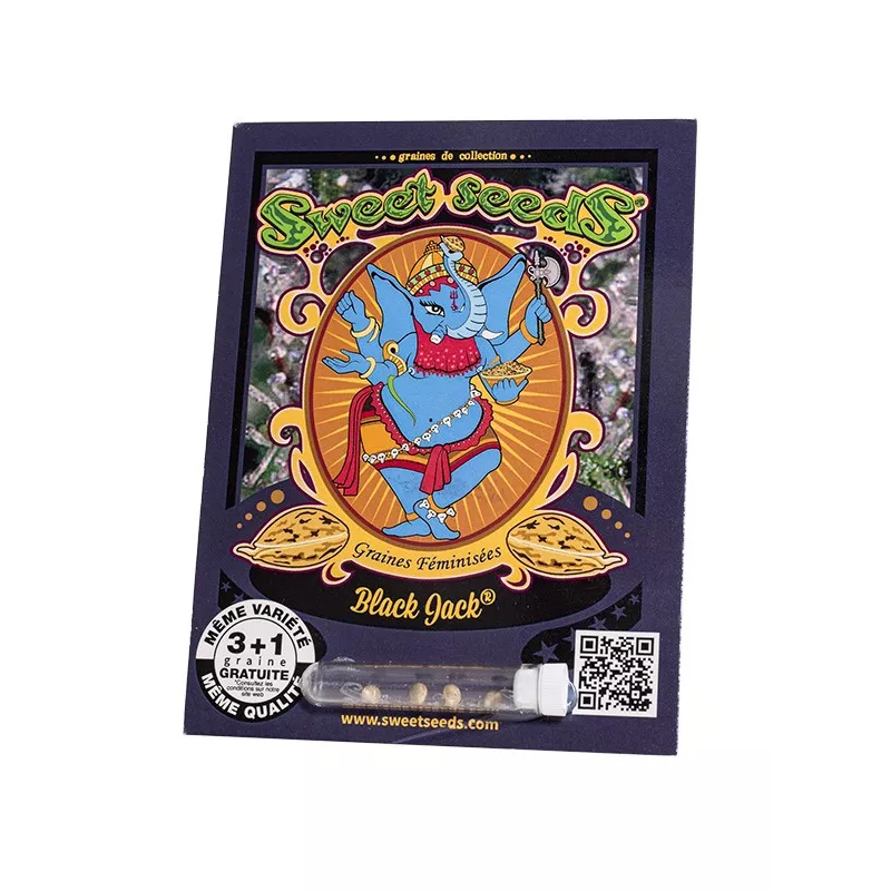 Black Jack - Sweet Seeds