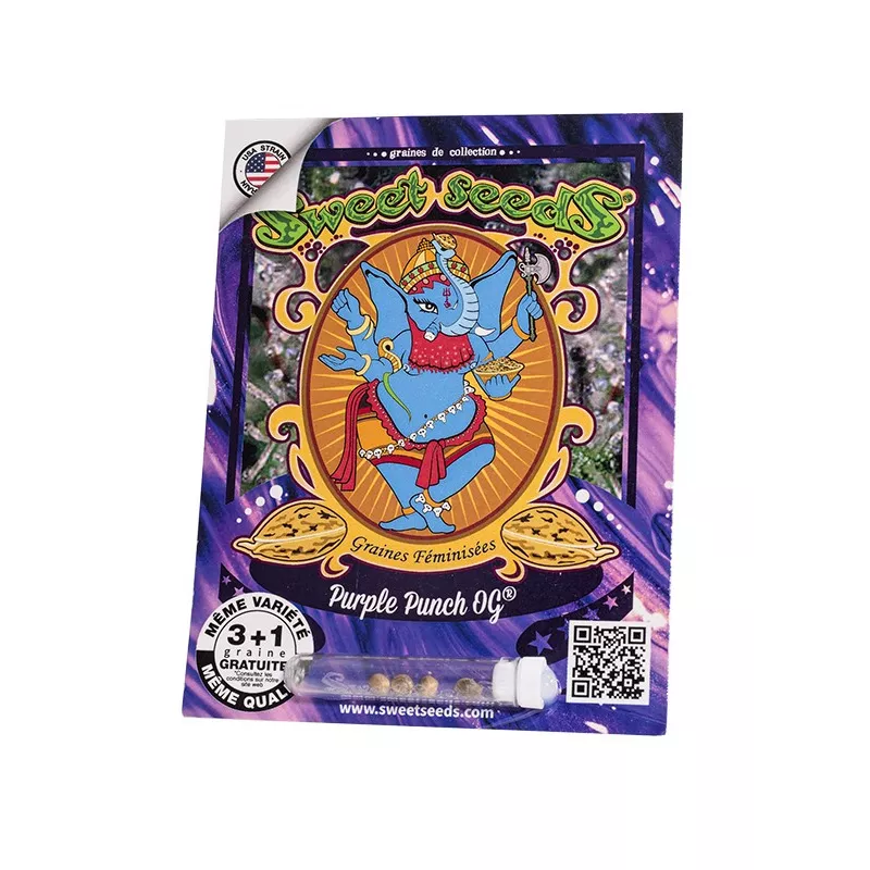 Purple Punch OG - Sweet Seeds