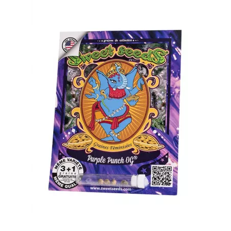 Purple Punch OG - Sweet Seeds