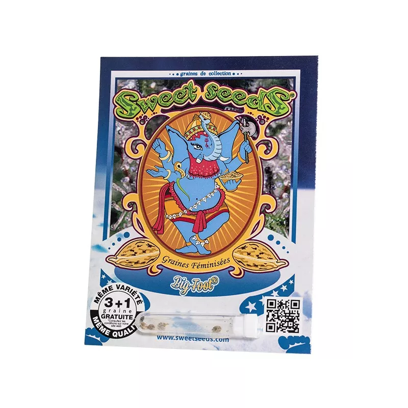 Big Foot - Sweet Seeds