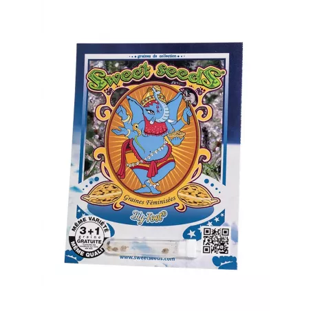 Big Foot - Sweet Seeds